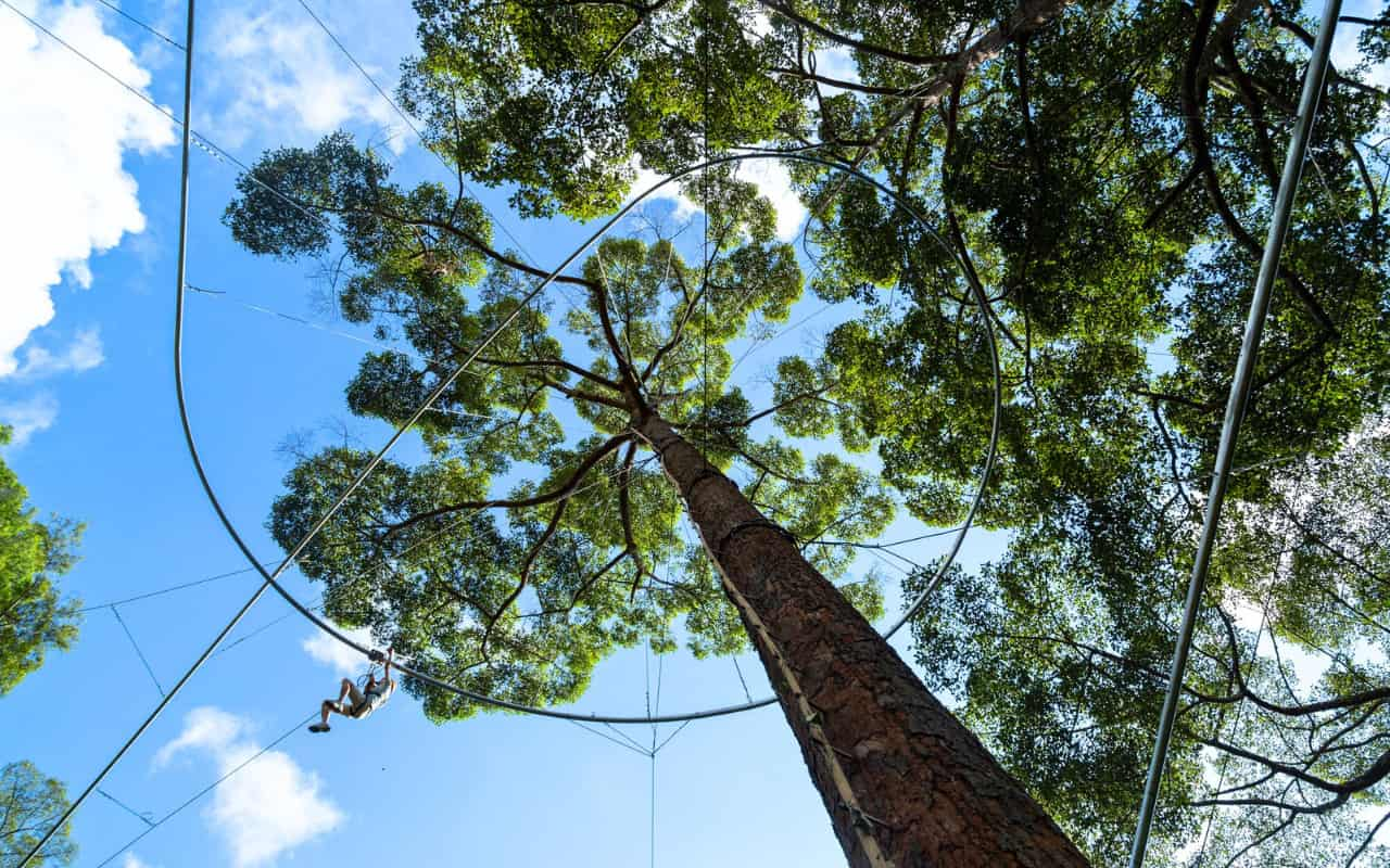 Zipline activity at Jungle Flight Chiang Mai